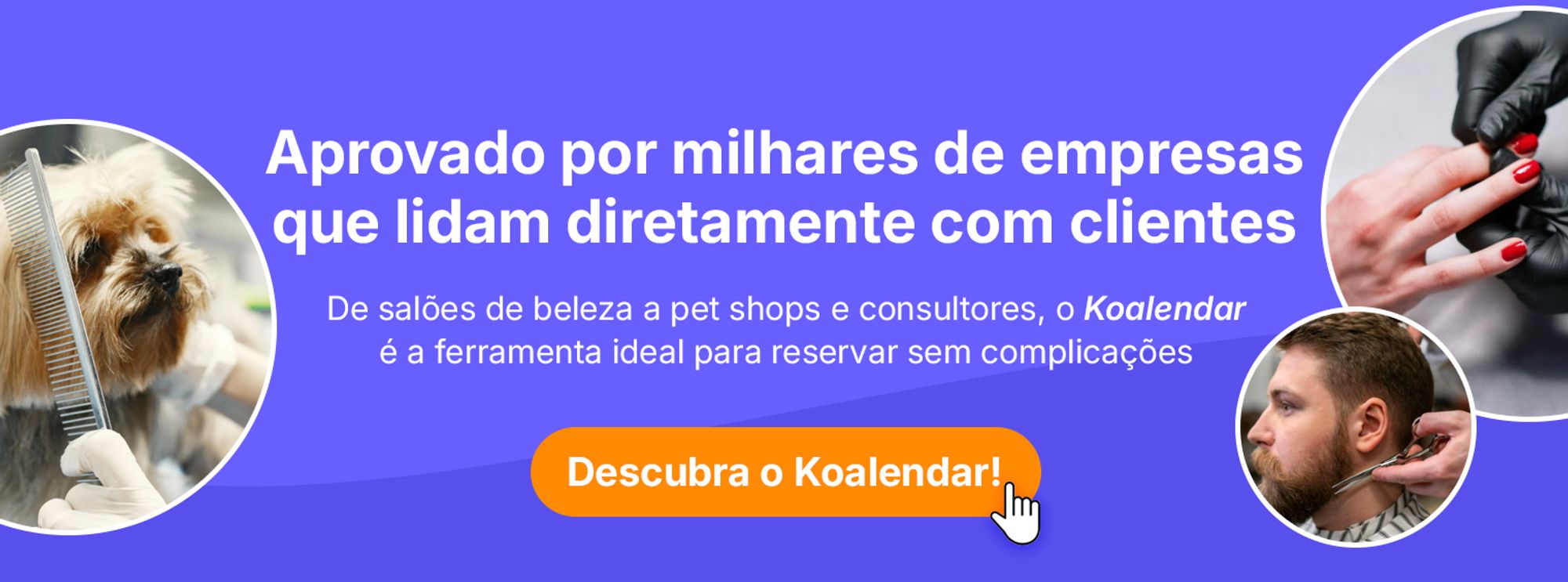 Software de agendamento Koalendar com lembrete de pagamento
